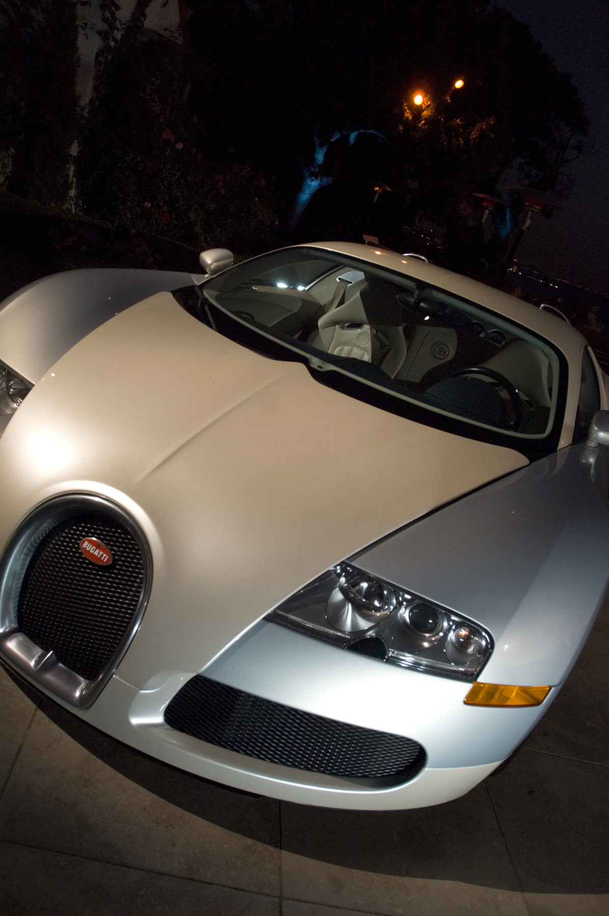 Bugatti Private Estate Special Event