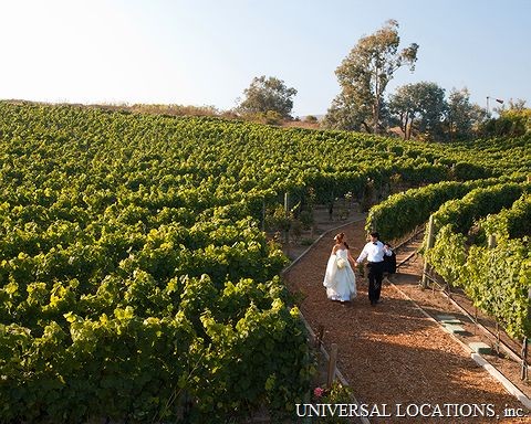 Private Vineyard Estate Malibu Wedding Venue