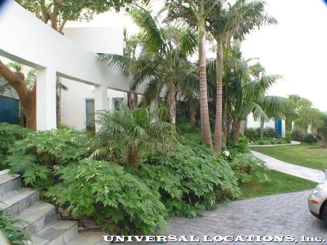 modern private malibu estate wedding