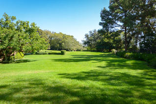 Stunning Beverly Hills Estate Wedding