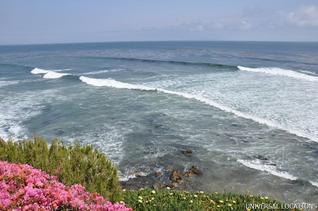 Luxury Private Event Estate Malibu